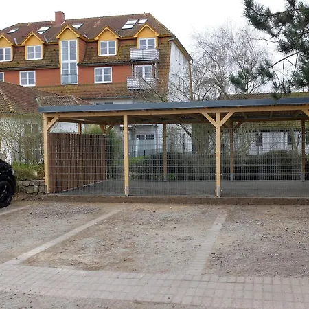 Strandlaeufer - Kleinsorge Warnemuende